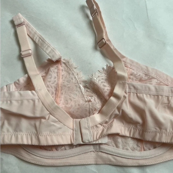 Louise Marnay Embroidered Sheer Bra Pink Peach Size  36 C NWT - Picture 2 of 5